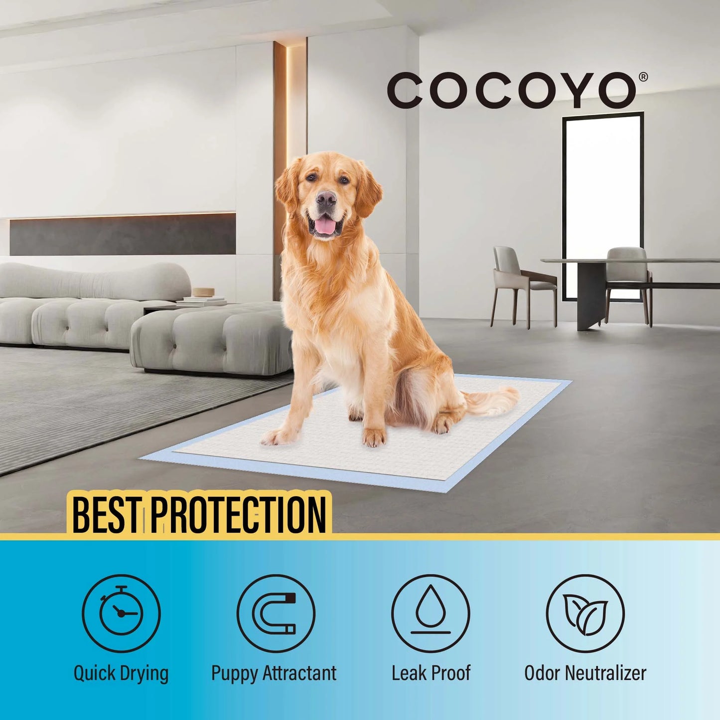 Best Value 22"X22" Dog Training Pads 50 Count