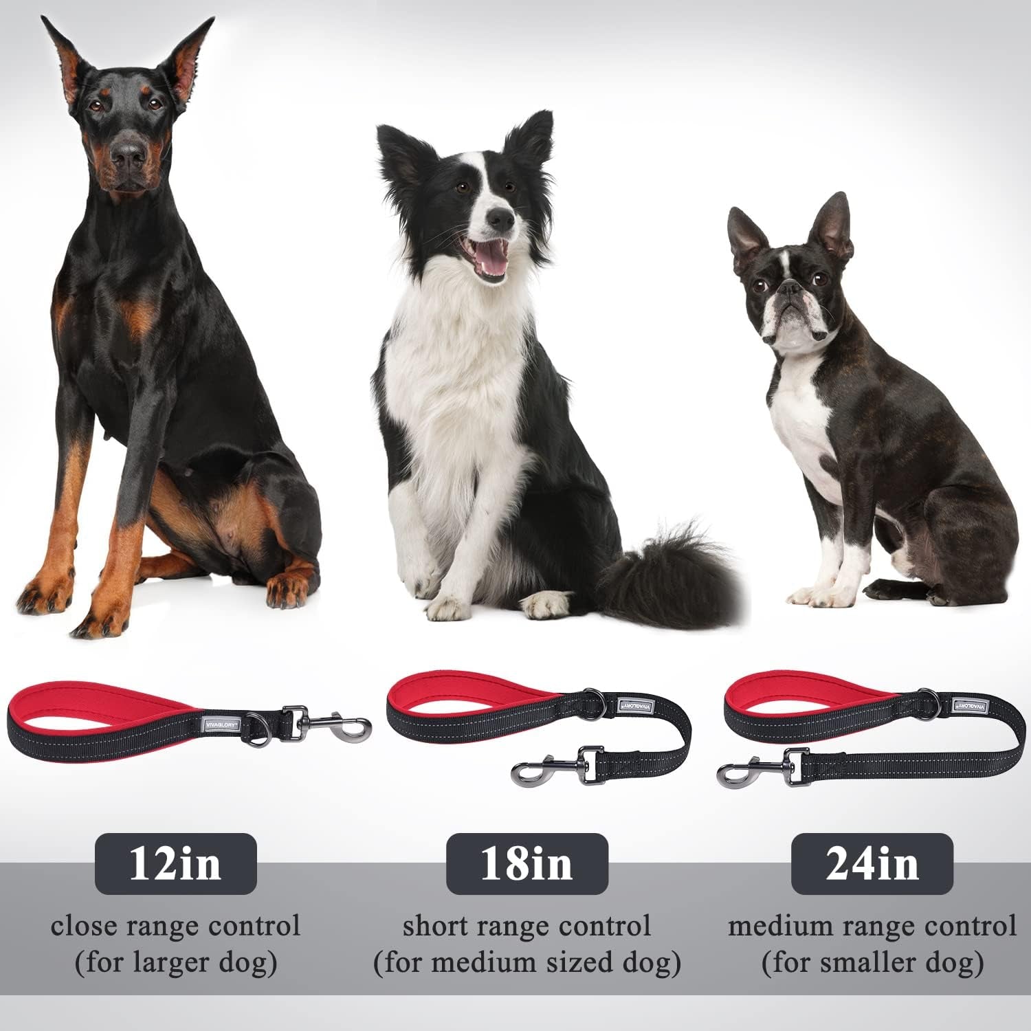 Short Dog Leash Closerok Traffic Leash for Dog with Soft Padded Handle for Training & Walking, Padded Neoprene & Heavy Duty, 12Inch, Black/Red